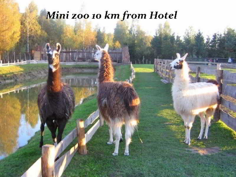 Hotel Pajurio Vieskelis Клайпеда Екстериор снимка